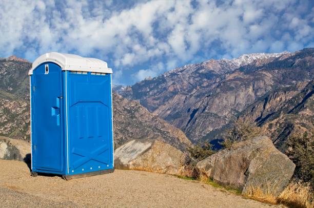 Best Affordable portable toilet rental  in Mccullom Lake, IL